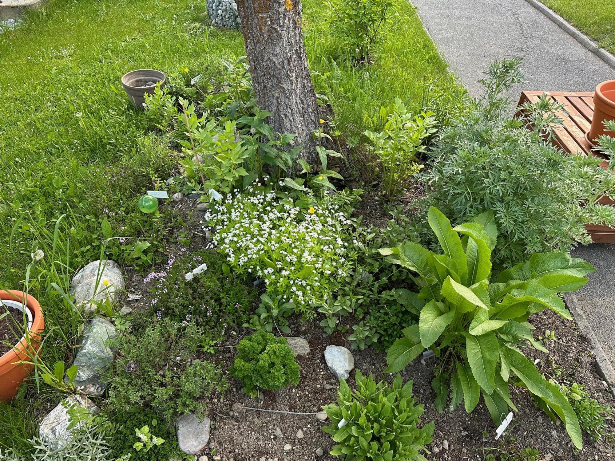 Chasa Stefania Mit Rundum Bergblick Und Garten Villa Scuol Buitenkant foto