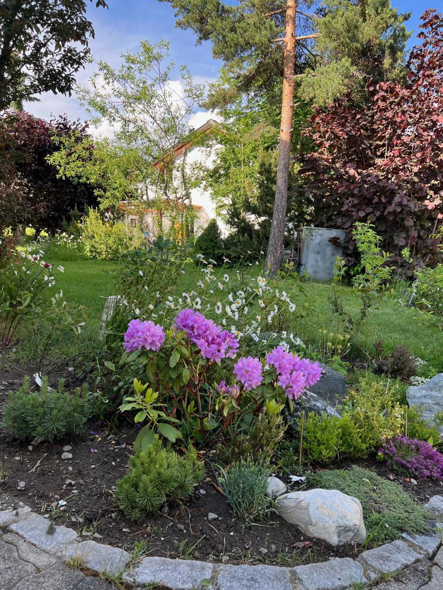 Chasa Stefania Mit Rundum Bergblick Und Garten Villa Scuol Buitenkant foto